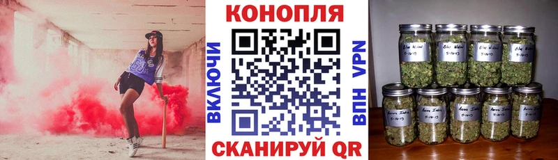Где купить Темрюк МАРИХУАНА  Alpha PVP  ГАШИШ  Галлюциногенные грибы  Мефедрон 