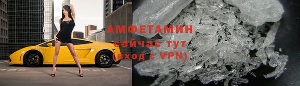 прущие крисы Ельня