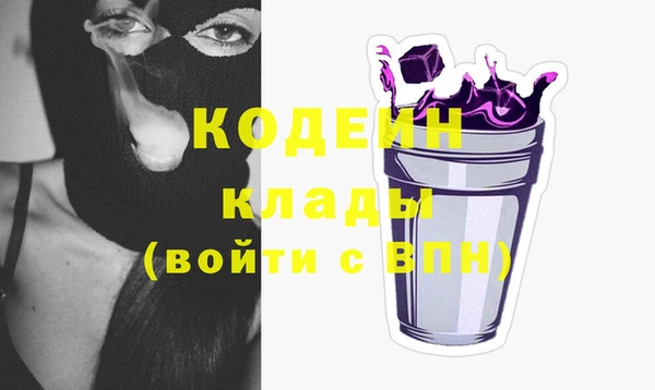 прущие крисы Ельня