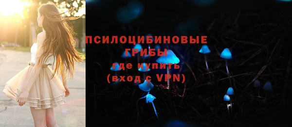 прущие крисы Ельня