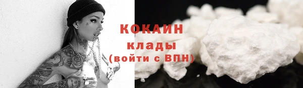 прущие крисы Ельня