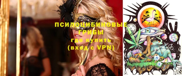 mdpv Елабуга