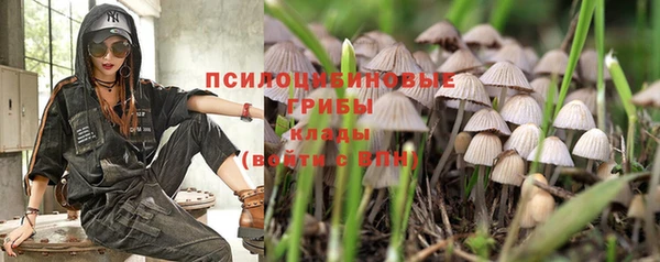 mdpv Елабуга