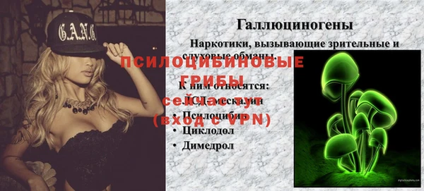 mdpv Елабуга